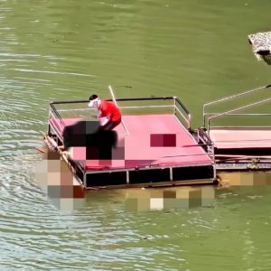 馬上評｜蹦極不是玩命，景區(qū)安全之繩絲毫松不得